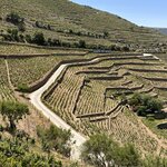 Photo taken by Lynn R