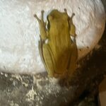 Photo taken by Alexia M