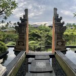 Photo taken by wendi r