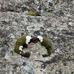 Photo taken by Dawn S