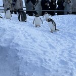 Photo taken by Reid S