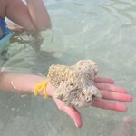 Photo taken by Audrea H