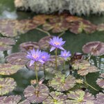 Photo taken by Martin D