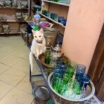 Photo taken by Kris C