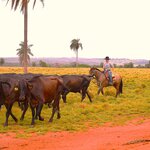 Photo taken by Dennis H