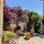 Photo taken by Ken P