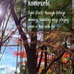 Photo taken by Glenda F