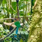 Photo taken by Kimberly J