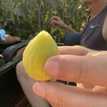 Photo taken by Stella S