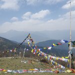 Photo taken by Jane G