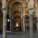 Photo taken by Ellyn A