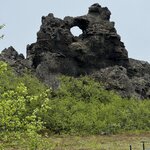 Photo taken by Dawn S