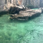 Photo taken by Shaula L