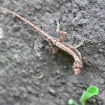 Photo taken by Graeme W