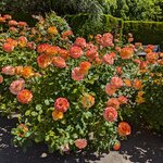 Photo taken by Trent G