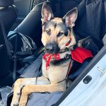 Photo taken by Debbie W