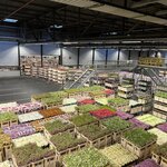 Photo taken by Monique L