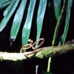 Photo taken by Brett F