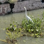 Photo taken by Kevin S