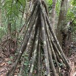 Photo taken by William B