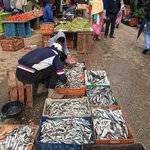 Photo taken by Lisa R