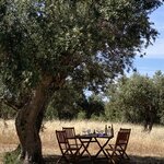 Photo taken by Michele R