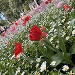 Photo taken by Joey R