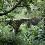 Photo taken by Liz S