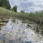 Photo taken by Becky L