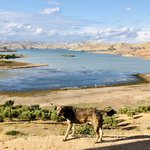 Photo taken by Laura M