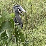 Photo taken by Michael L