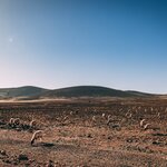 Photo taken by Kassie R