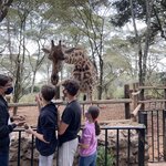 Photo taken by Julien C