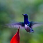 Photo taken by Dawne D