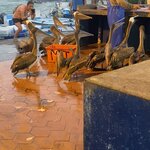 Photo taken by Nicole S