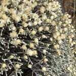 Photo taken by Michael L