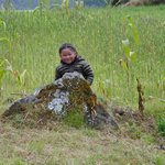 Photo taken by Brian U