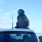 Photo taken by Joanne B