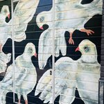 Photo taken by Janice W