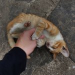 Photo taken by Lisa R