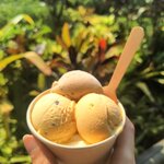 Photo taken by Kaitlin J