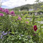 Photo taken by Queenie C