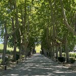 Photo taken by Rocky L