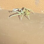 Photo taken by Kim L