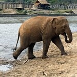 Photo taken by Megan H