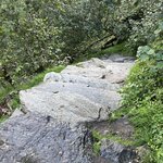 Photo taken by Mary Ellen J