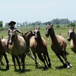 Photo taken by Eric T