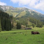 hiking pics - day 3 | Photo taken by ronald d