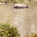 Photo taken by don m