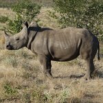 Photo taken by Sandro P